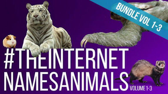 The Internet Names Animals Bundle